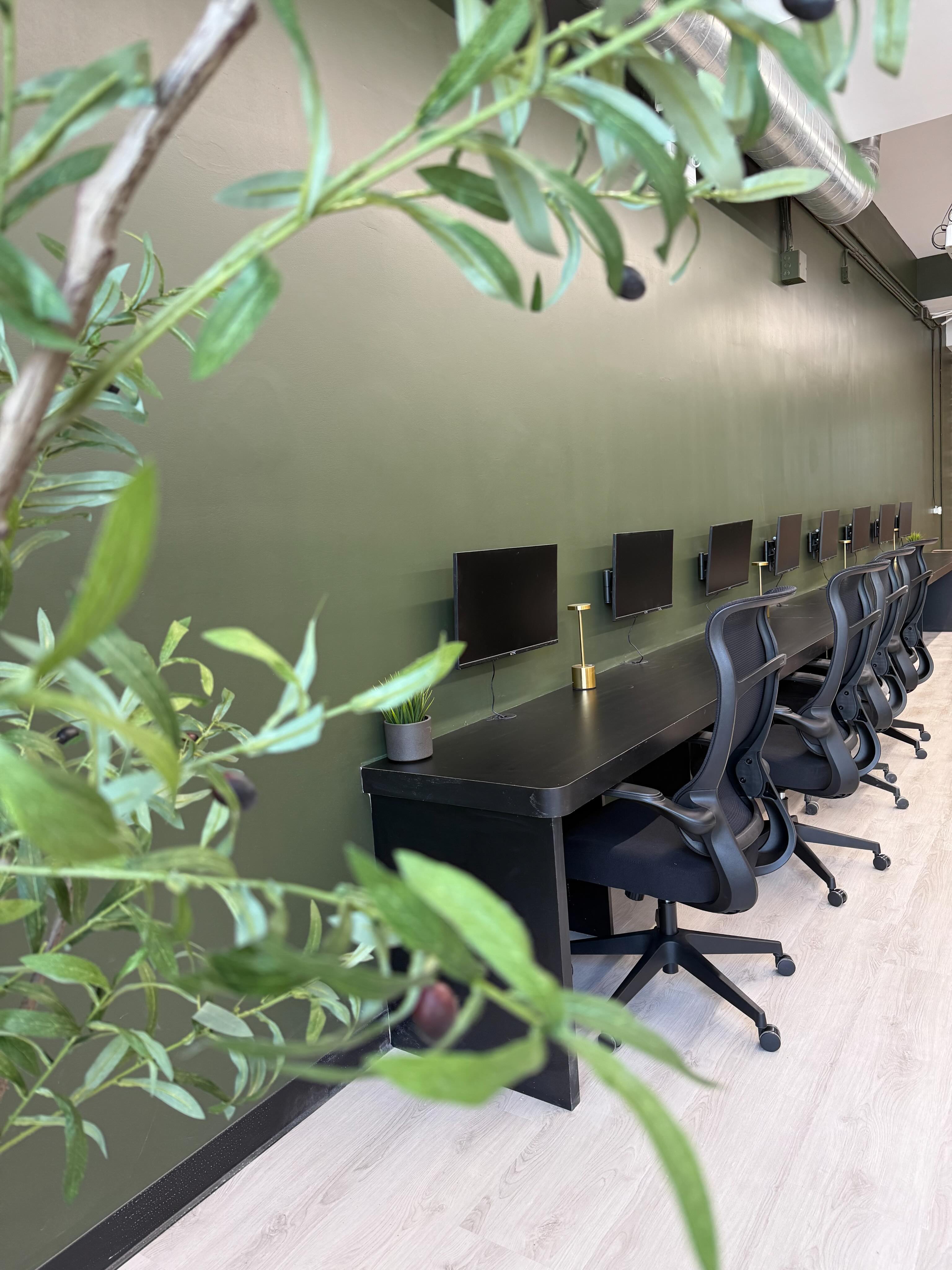 Computer science student coding